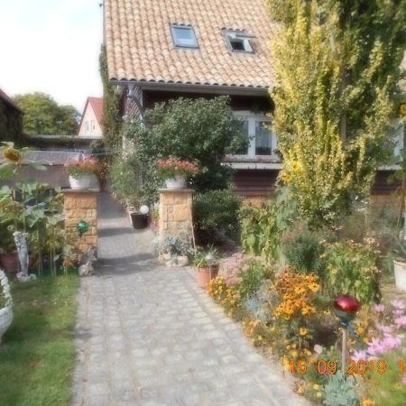 Vermiete Sehr Schoenes Apartment In Dankerode Im Harz Kültér fotó