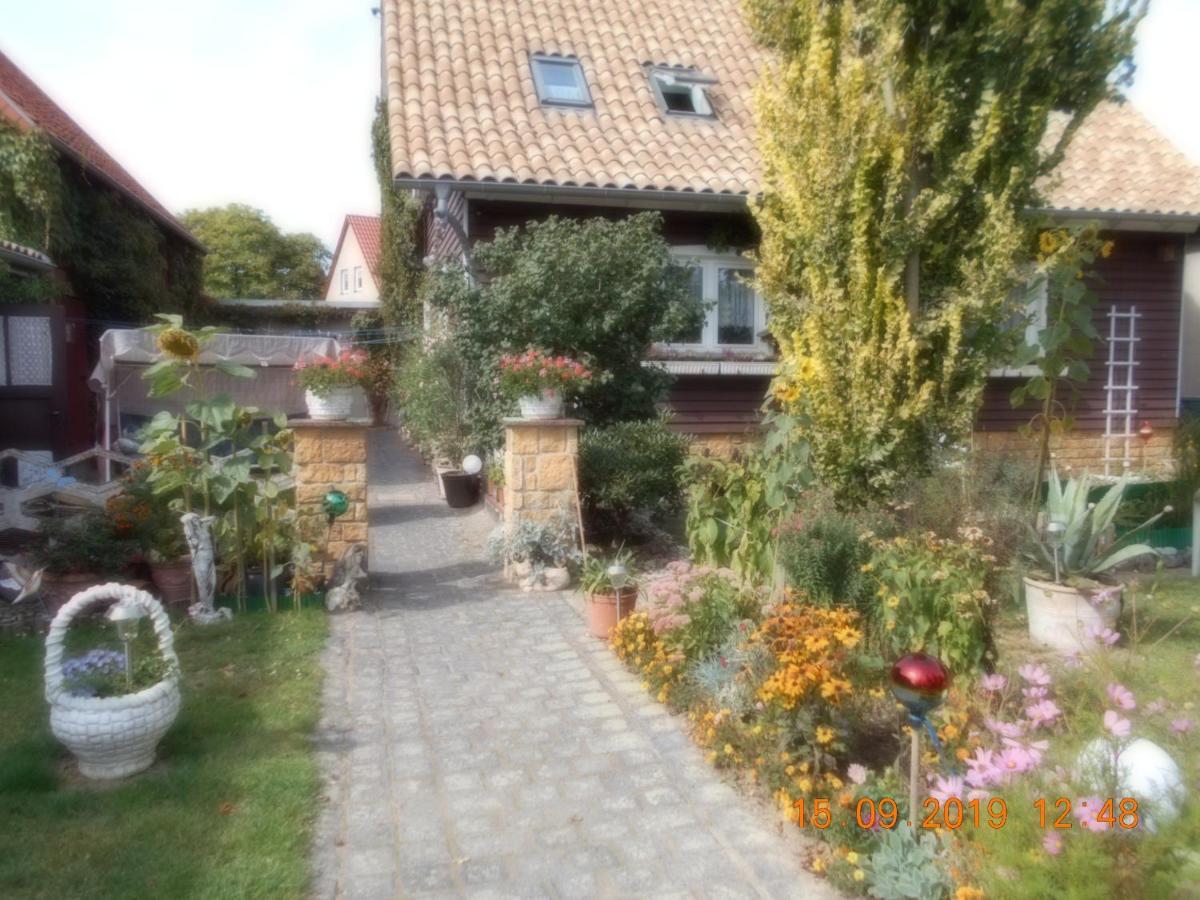 Vermiete Sehr Schoenes Apartment In Dankerode Im Harz Kültér fotó